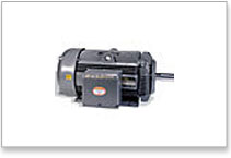 Severe Duty Baldor motors